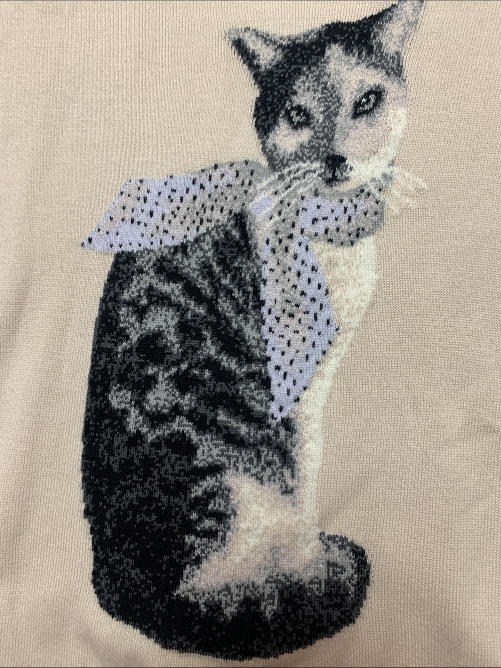 Lands End 100% Supima Cotton Kitty Cat Wearing Scarf Print Crewneck Sweater MT - Picture 2 of 4